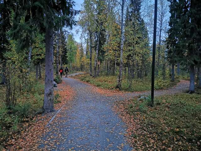 Гостиница Орбита Усинск-128